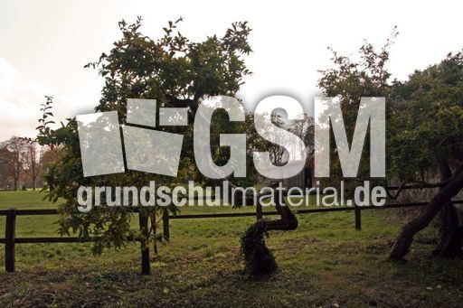 B-Herbststimmung 035.jpg